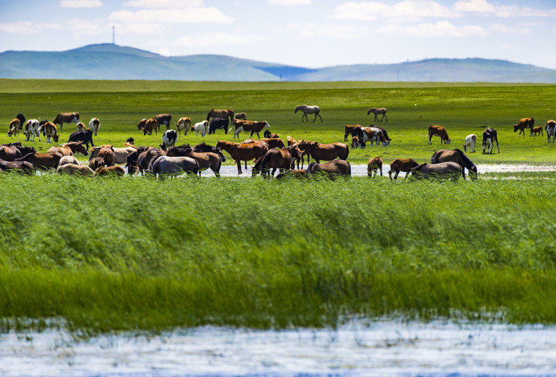 内蒙古，那段青春岁月的故乡记忆