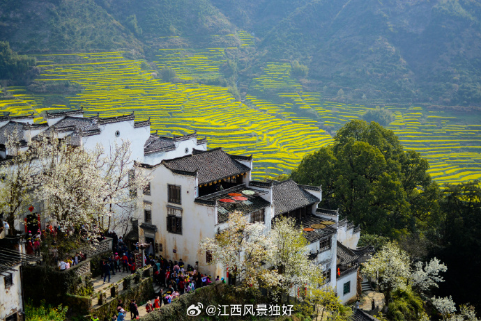 江西科技未来先锋，探索颠覆想象的高科技新品